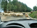 Click to see cal09.jpg