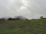Click to see cal10.jpg