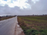 Click to see cal11.jpg