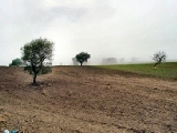 Click to see cal12.jpg