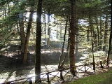 Click to see cal30.jpg