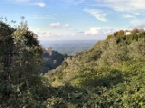 Click to see cal36.jpg