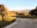 Click to see cal46.jpg