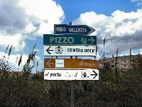 11280025