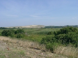 Click to see dunes1.jpg
