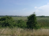Click to see dunes2.jpg