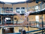 Click to see ptpegasus.jpg