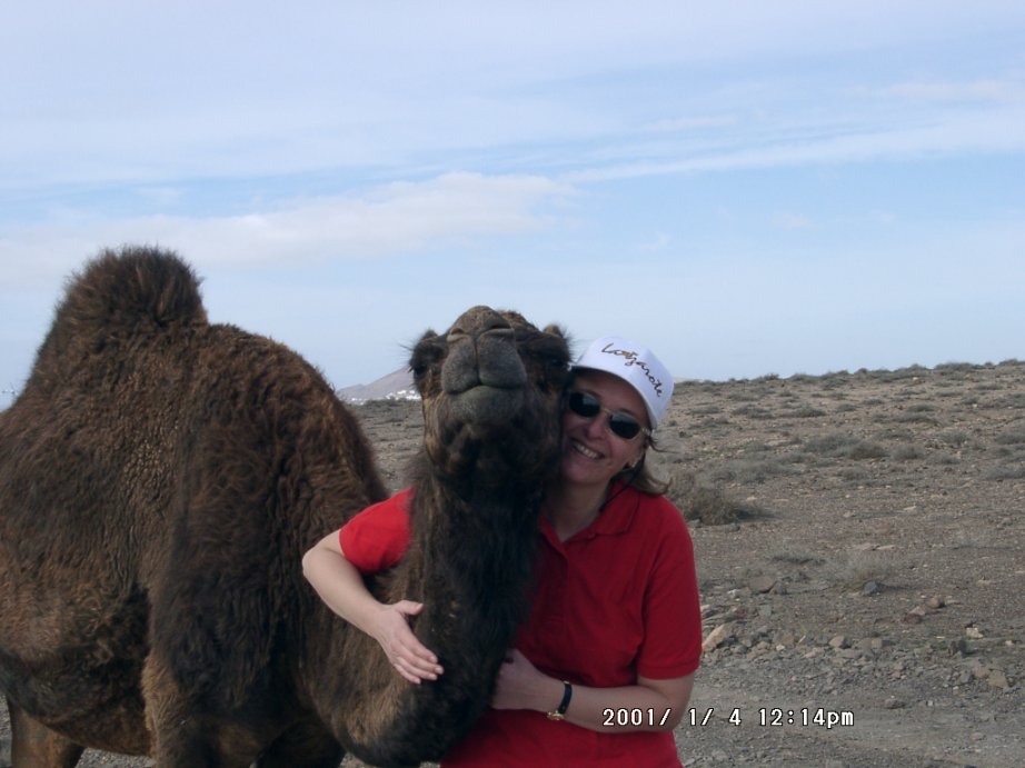 Ulla's Dromedary Babe