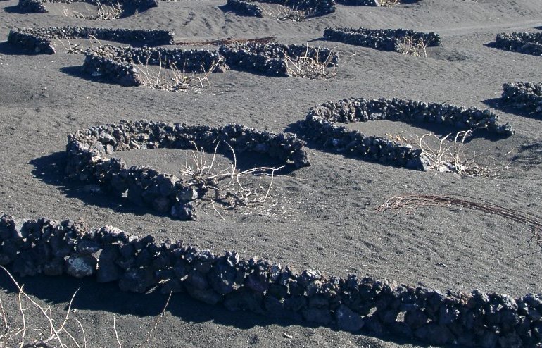 Zocos